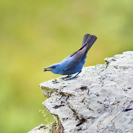 Casa Babel Monfraguee * Torrejón el Rubio