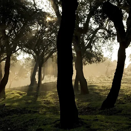 Casa Babel Monfraguee Gospodarstwo wiejskie
