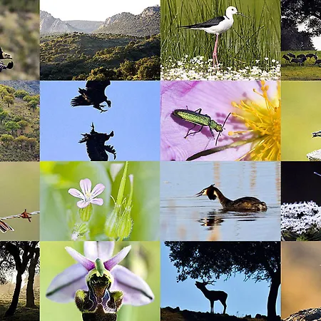 Casa Babel Monfraguee * Torrejón el Rubio