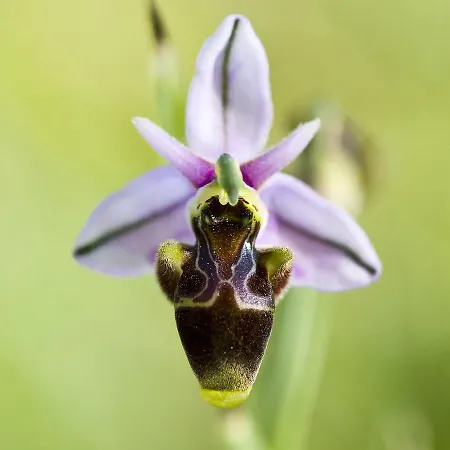 Casa Babel Monfraguee Gospodarstwo wiejskie