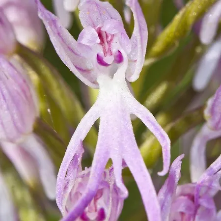 Casa Babel Monfraguee * Torrejón el Rubio