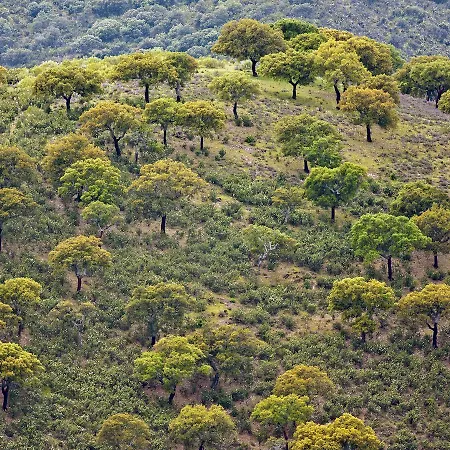 Casa Babel Monfraguee Εξοχικό σπίτι *