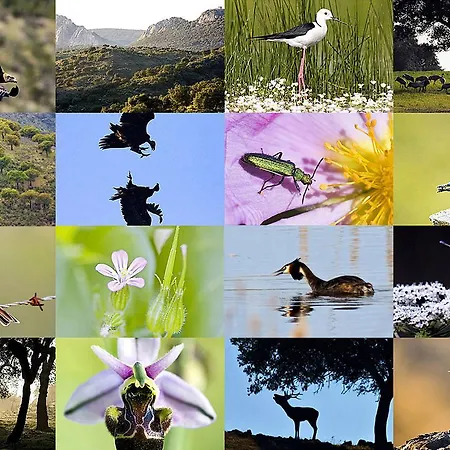 Casa Babel Monfraguee Gospodarstwo wiejskie