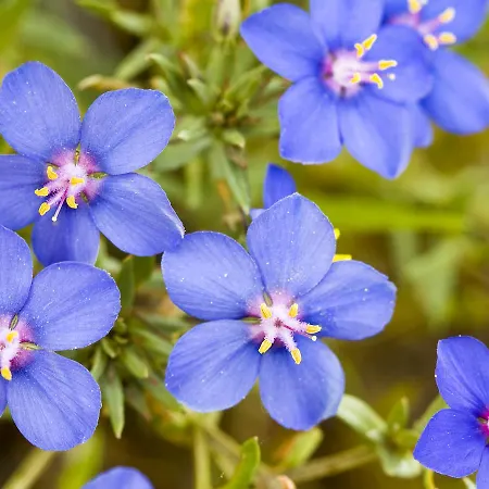 Gospodarstwo wiejskie Casa Babel Monfraguee Torrejón el Rubio