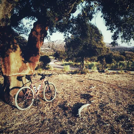 Gospodarstwo wiejskie Casa Babel Monfraguee Torrejón el Rubio