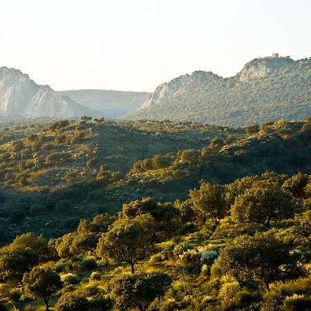 Casa Babel Monfraguee