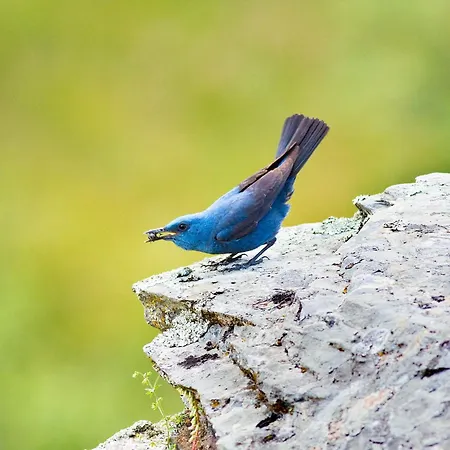 Casa Babel Monfraguee Gospodarstwo wiejskie Torrejón el Rubio