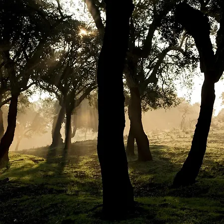 Gospodarstwo wiejskie Casa Babel Monfraguee *