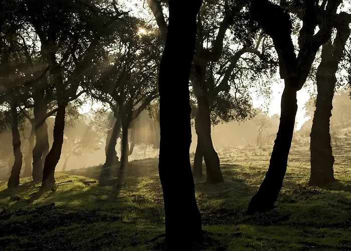 Casa Babel Monfragüe Casa rural