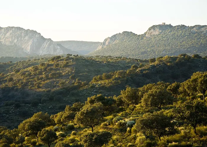 Casa rural Casa Babel Monfragüe