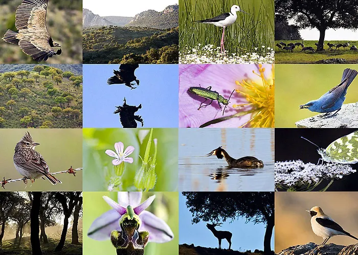 Casa Babel Monfragüe * Torrejón el Rubio