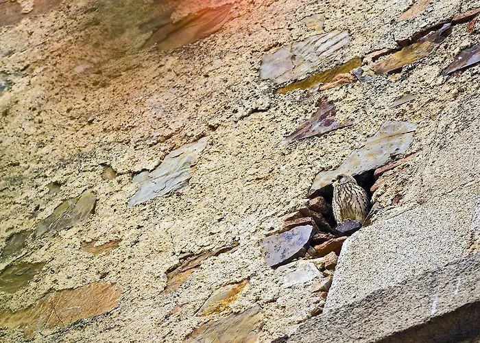 Casa Babel Monfragüe Casa rural *