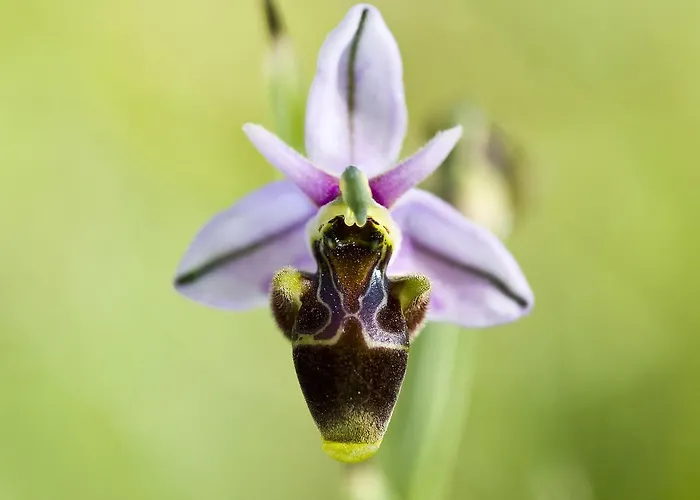 Casa Babel Monfragüe Casa rural