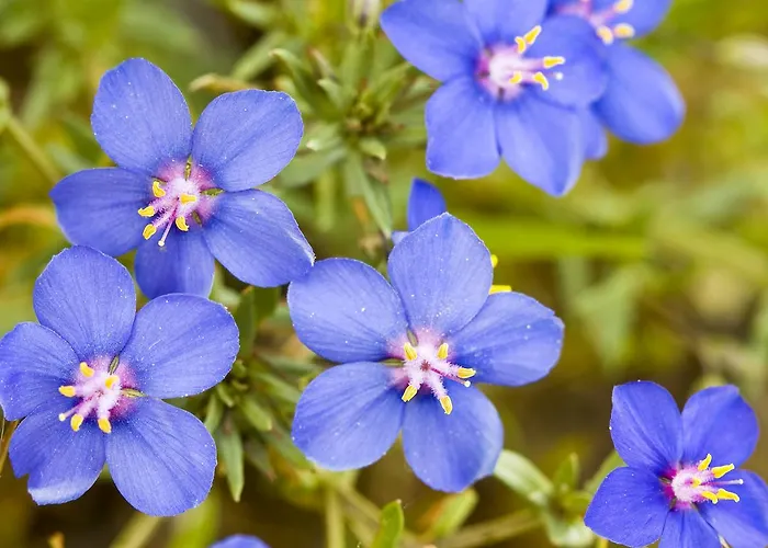 Casa rural Casa Babel Monfragüe Torrejón el Rubio