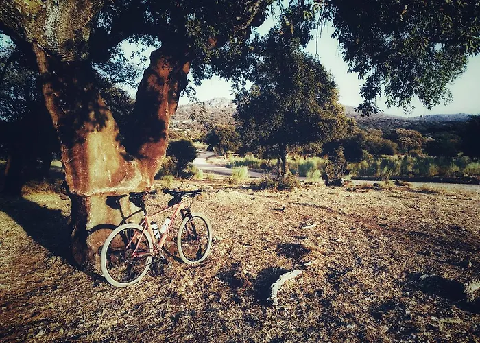 Casa rural Casa Babel Monfragüe Torrejón el Rubio