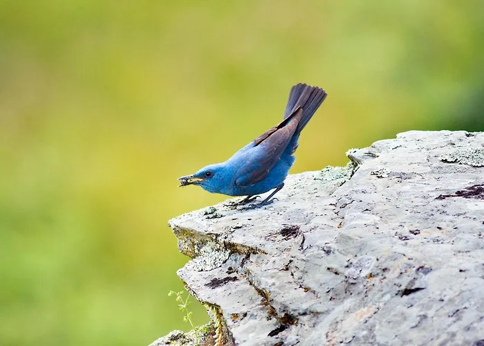 Casa Babel Monfragüe Casa rural Torrejón el Rubio