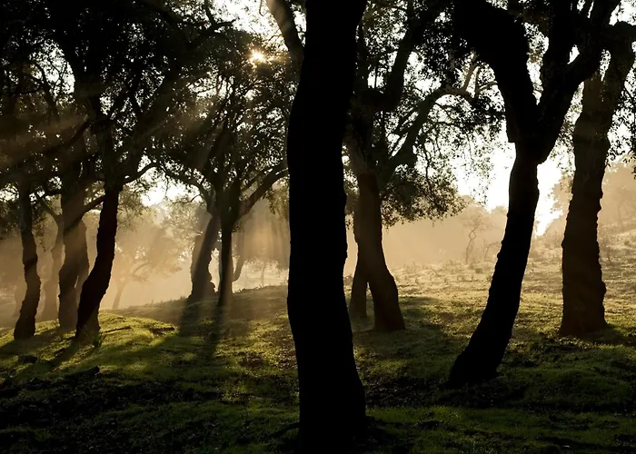 Casa rural Casa Babel Monfragüe *